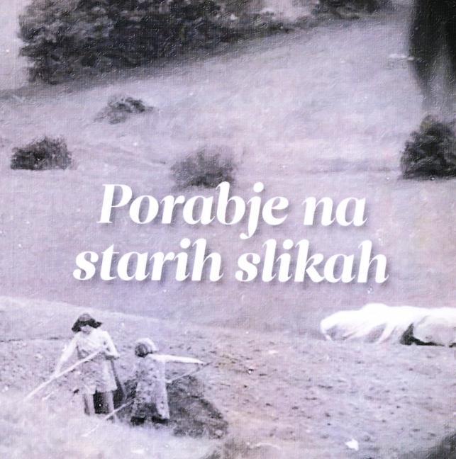 izobraževalne zavode (Osnovna šola Števanovci, Dvojezična osnovna šola Gornji Senik) v Porabju in jim predstavili projekt ter jih povabili k sodelovanju, tj. k zbiranju starejšega slikovnega gradiva.