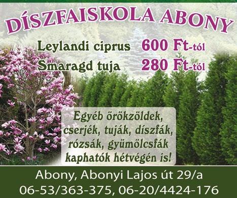 KERTÉSZET MEZŐGAZDASÁG www. dpmsz. hu 5 KERT ÉS AZ ŐSZ A legtöbb kerti munka tavaszra vagy őszre esik.