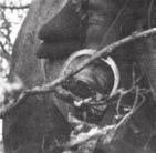 kezdte el feladatait. A harckocsi- és repülőtámadásra érzékeny lovas alakulatok a harcokban nagy veszteségeket szenvedtek. 1944.