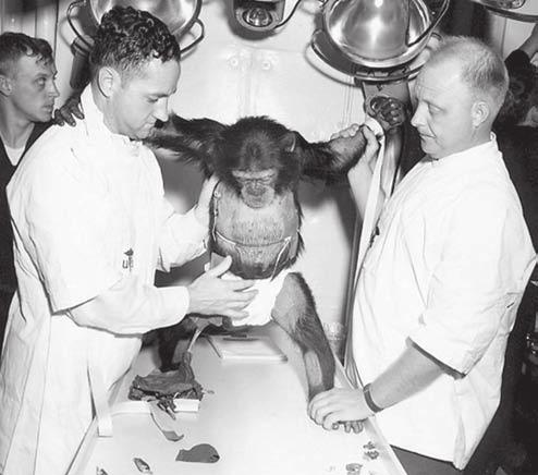 A címoldalakra került, ám mindez nem is hasonlított ahhoz, ami John Glenn első repülését követte. 1962.