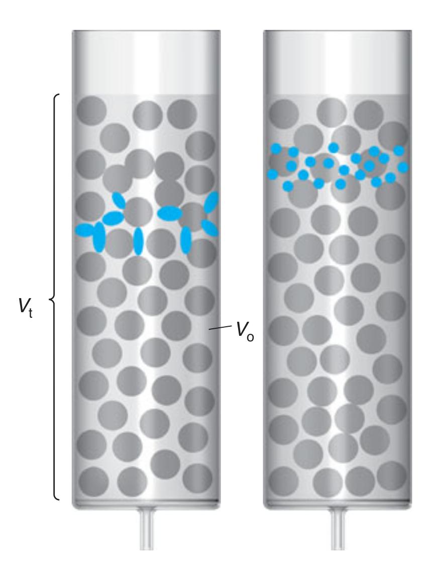 Méretkizárásos kromatográfia Mechanizmus