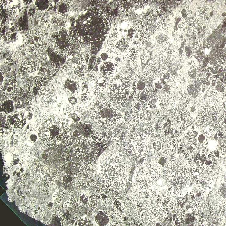 FOTÓ KNYAHINYA L5 típusú kondritos meteorit, amely a kárpátaljai Knyahinya közelében hullott 1866-ban.