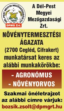+36 30 369 1674 KIS súlyú hízók Nyársapáton eladók. +36 30 369 1674 3 hetes magyar tarka bikaborjú eladó.