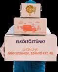 földimogyorós