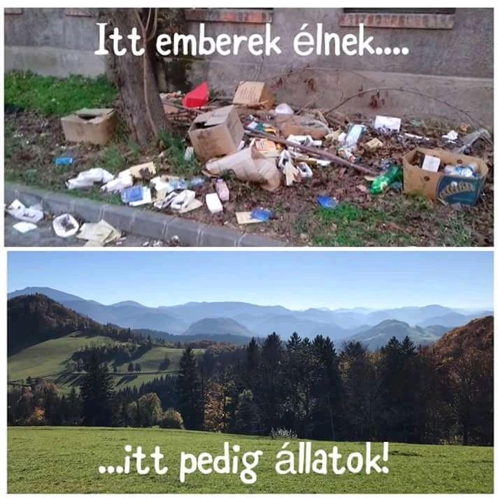 Az internet nagyszerű dolog. De csak akkor, ha betartasz pár szabályt. Dr.