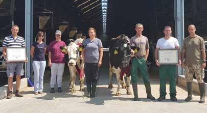 Virág kicsit mélyről rugaszkodott neki a maratonnak, 7549 kg-os első laktációját másodikos korára több mint 3000 kg-mal fejelte meg, amelyet nyolcadikos koráig folyamatosan emelkedő termelésnek