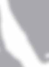 4 35 4 25 4 M6 FLSO150 1 150 5 35 5 25 400 A 1 M20 5 M8 2 50 2 35 2