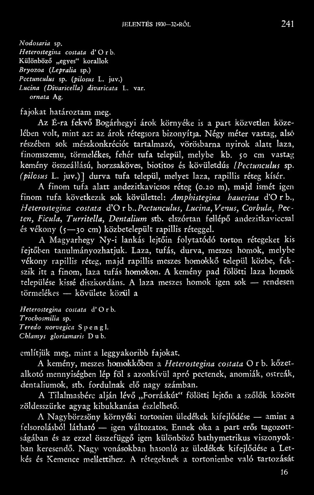 Négy méter vastag, alsó részében sok mészkonkréciót tartalmazó, vörösbarna nyirok alatt laza, finomszemu, törmelékes, fehér tufa települ, melybe kb.