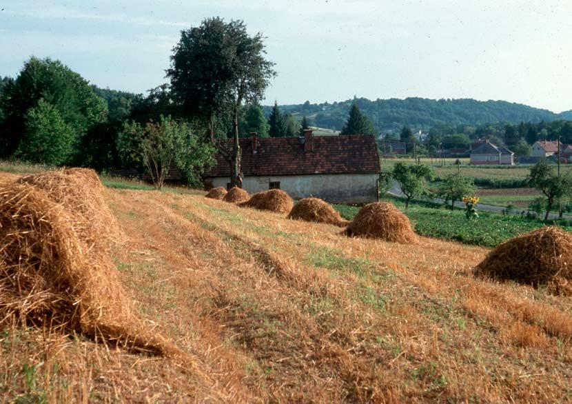 Természetvédelem a kisgazdaságok újjáélesztésével Az Őrségi Nemzeti Park területének jelentős része magántulajdonban