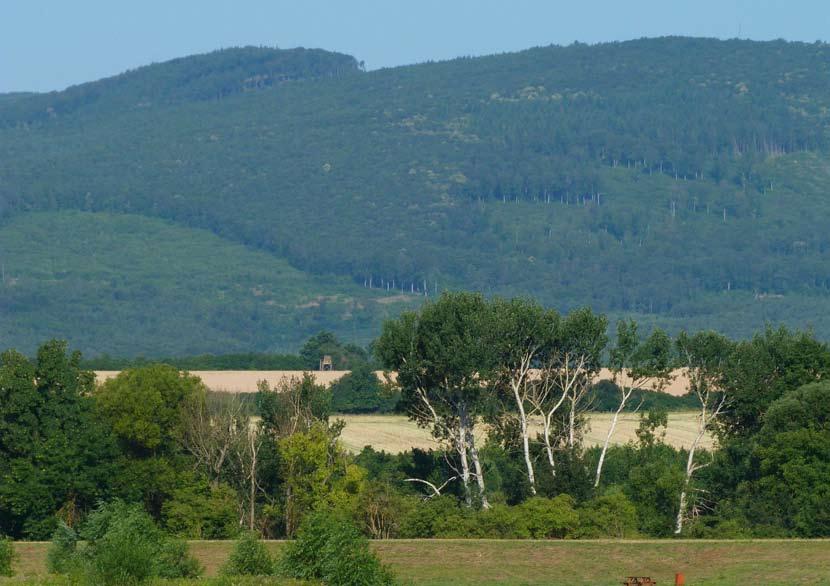 A helyi vonzerők számbavételére, megőrzésére és a helyi turizmusszektor szereplőivel
