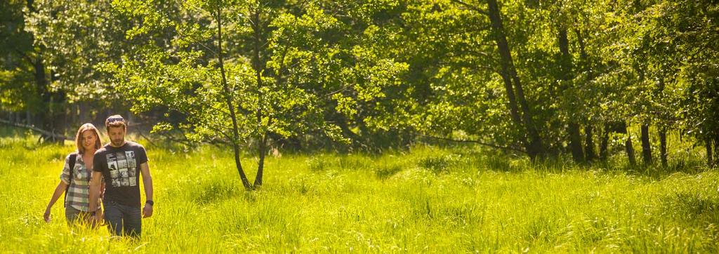 A vidéki lakosság megtartásáért Az, hogy az Őrségben egy nemzeti park működik, önmagában egy magasabb szintű életminőséget biztosít az itt élőknek.