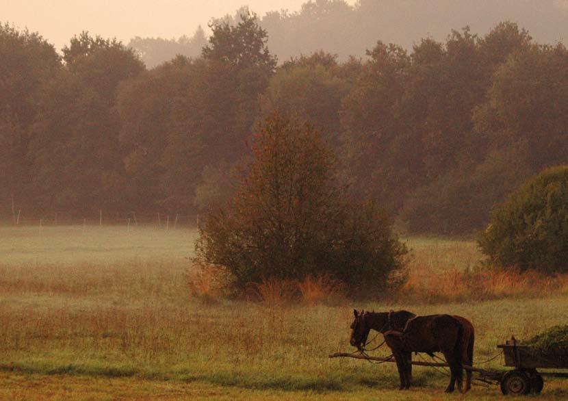 változatos kultúrtájak alakultak ki. Ilyen nemzeti park az őrségi is.