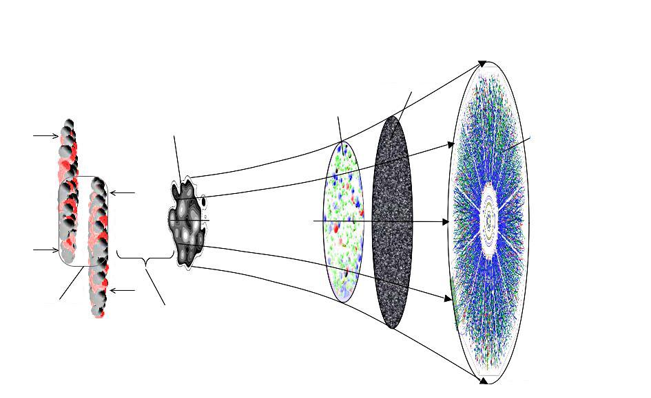 Az ütközés időfejlődése tágulás és hűlés kinetikus kifagyás kezdeti hadronizáció energiasűrűség eloszlás detektorok keletkezett részecskék eloszlása, korrelációi QGP fázis, kvark és gluon szabadsági