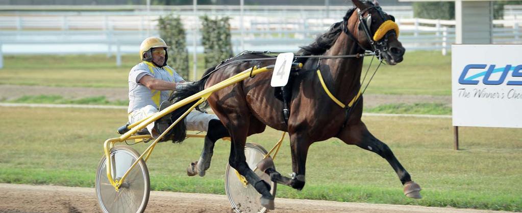 GET és GALOPP LXXIII. ÉVFOLYAM 29. SZÁM 2018. AUGUSZTUS 25-26.