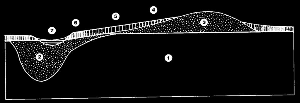 2. ábra. A Tiszántúl földtani térképének (Sümeghy 1991) 400 000-esre kicsinyített részlete. Az ó holocén és felsõ pleisztocén futóhomok vonulatokat az eredeti térképtõl eltérõen fekete foltok jelölik.