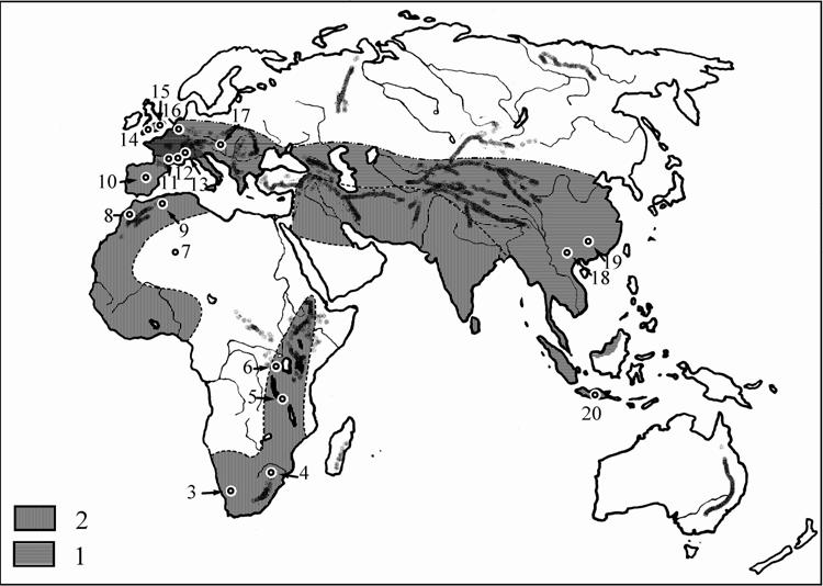 97 és 13. ábra. Az ősemberi szerszámcsoportok elterjedése Afrikában Eurázsiában.