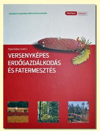 Élére kellett állnunk ennek a folyamatnak. Ez egyrészt az infrastruktúra megteremtését jelentette. Gondoljunk egy egészen egyszerû autóparkolóra.