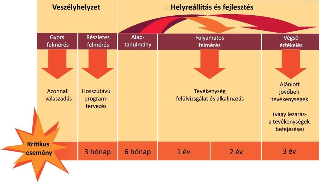 programmá, a támogató tevékenység nem szű