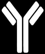 antibody that potently and selectively neutralises the function of both IL-17A and IL-17F 1 IL,