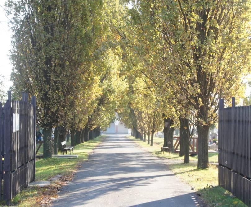 A túl magas partvédőmű sem kívánatos! A holtágak vízszintje szabályozott, ezért nincs értelme a legmagasabb vízszinttől 40-50cm-nél magasabb partfalat építeni.