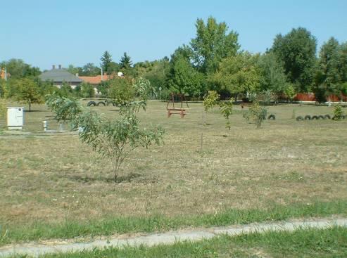A fásított utcán szívesebben időznek, sétálnak az emberek A házakat sok estben növényzettel futtatják be vagy az