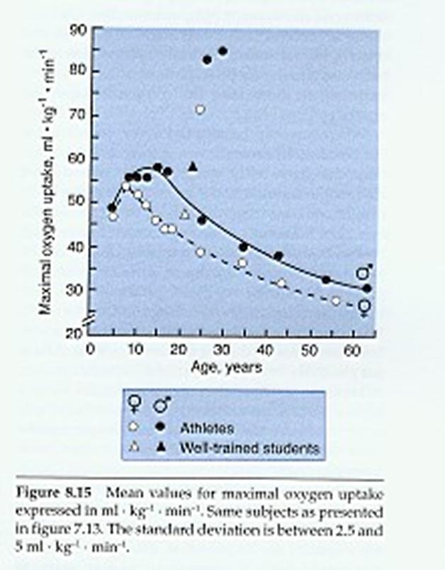 VO 2 max alakulása