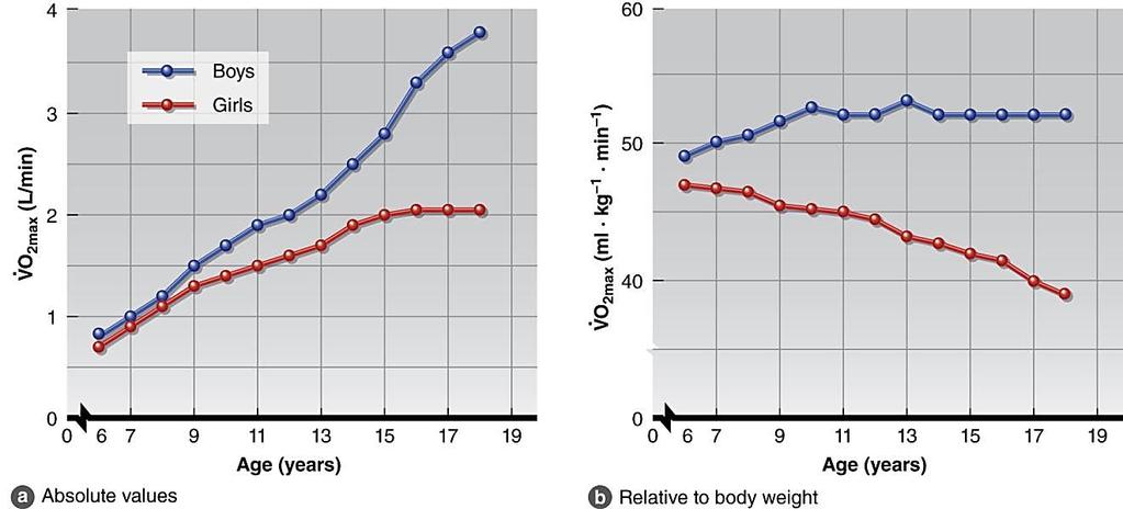 VO 2 max