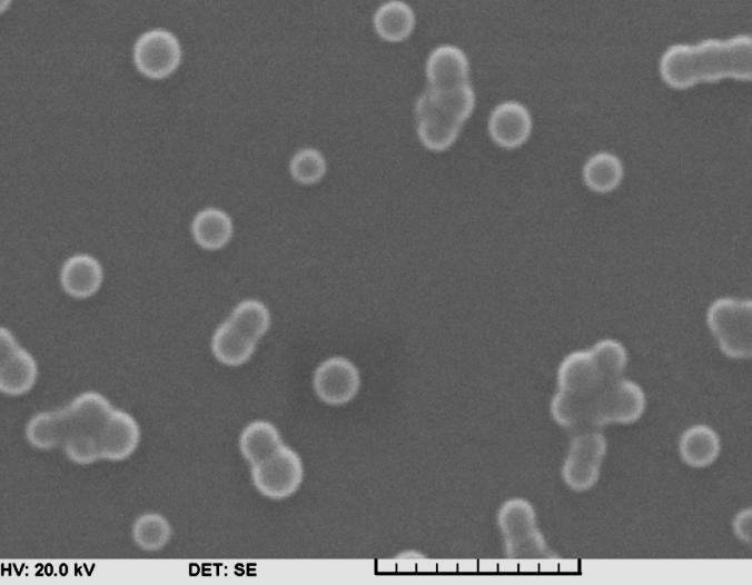 Nanokapszulázás Nanoprecipitációval előállított PLGA