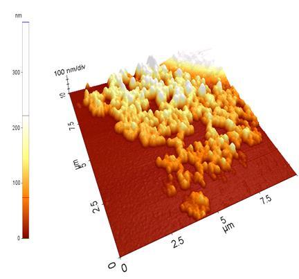 PLGA nanorészecskék szűk méreteloszlás: 140-170nm jó