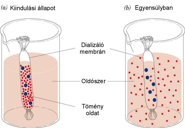 106 Fermentációs feldolgozási műveletek Biotechnológiai alkalmazása: etanol fermentációnál. A szesziparban az élesztők csak bizonyos alkohol-koncentrációig képesek az erjesztésre.