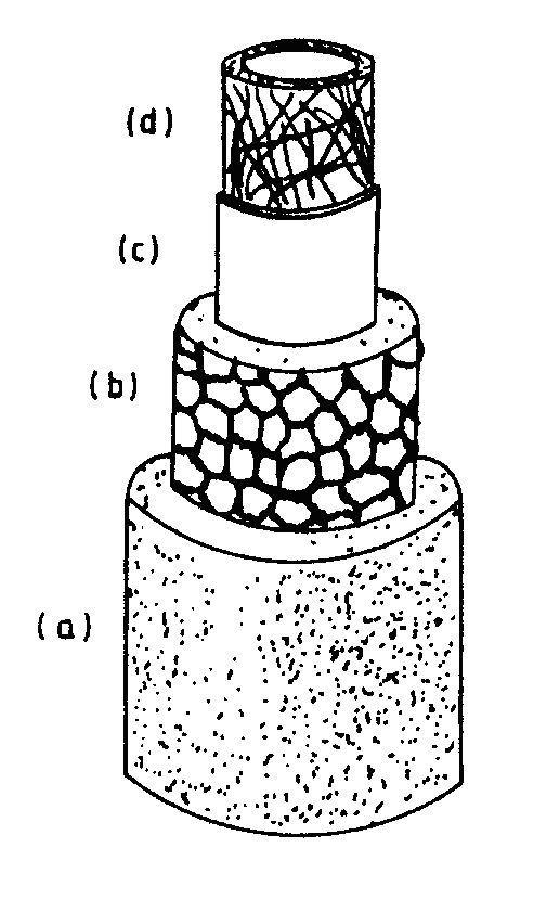 52 Fermentációs feldolgozási műveletek 3.2.3.1. ábra: A Neurospora crassa sejtfalának vázlatos szerkezete.