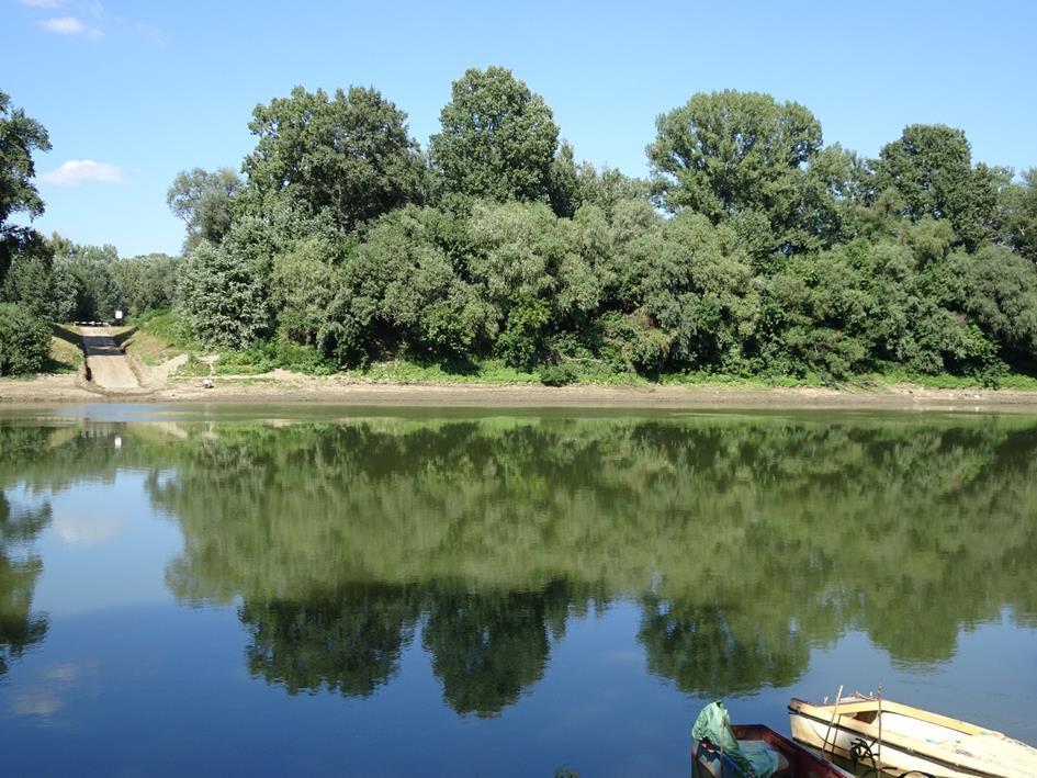 TERMÉSZETI ÉRTÉKEK Tiszavárkony területe igen gazdag táji és természeti értékekben.