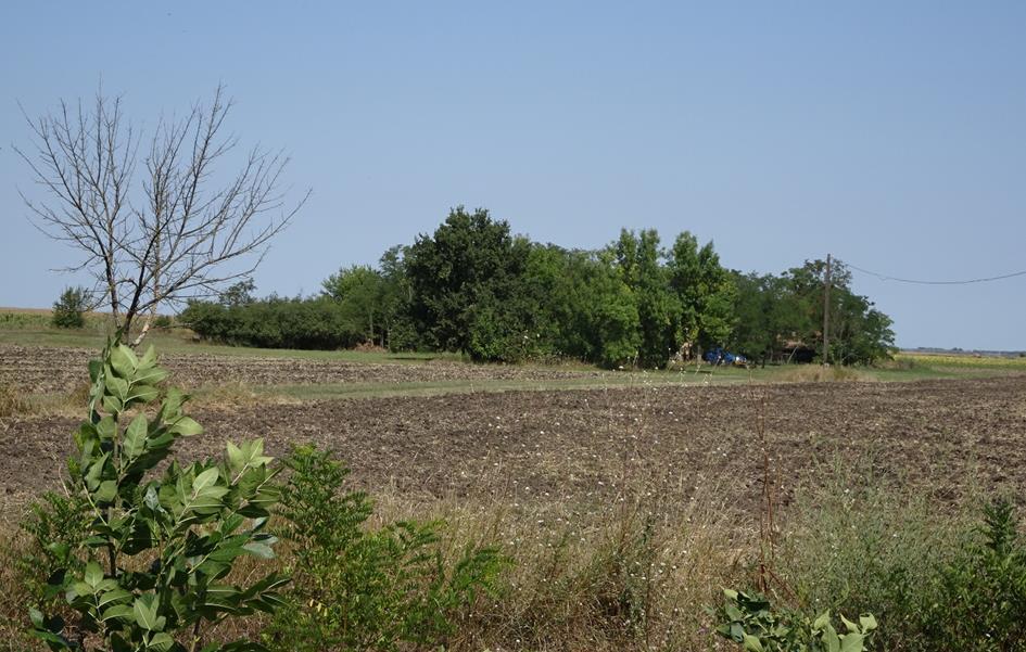 4242 BEÉPÍTÉSRE NEM SZÁNT TERÜLET - KÜLTERÜLET Tiszavárkonyban jellemzően a beépítésre nem szánt területek a külterületi egybefüggő mezőgazdasági területek, melyet