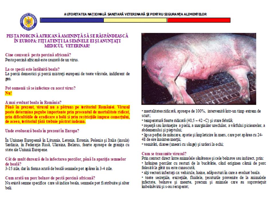 állatorvosok és felcserek számára; Információs anyagok