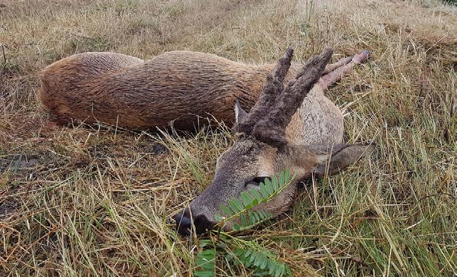illetve postai úton megküldött Vadász Hírmondó újságunk szolgál.