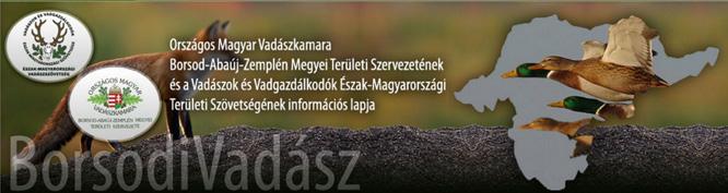 Ez egy rendkívül fontos és megtisztelő feladatot jelent, hiszen megyénkben ilyen jellegű esemény még nem került megrendezésre.