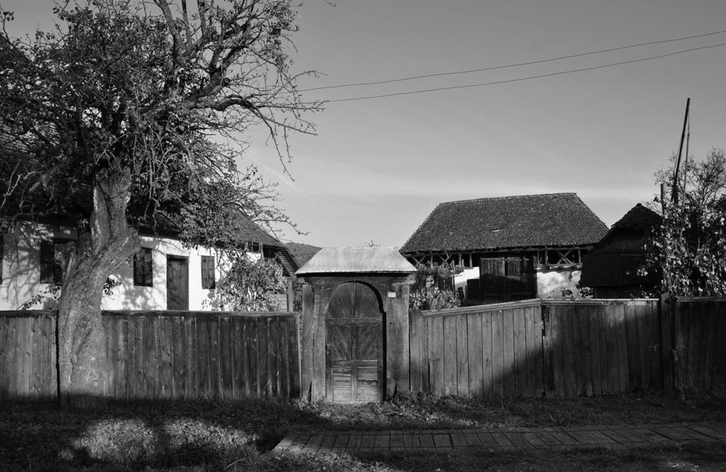 94 FURU ÁRPÁD 1. kép. Csoportos udvar Nyárádmagyaróson (Furu Árpád, 2012) vagy akár zsellértelkeken a lakóházak mellett már a 18.