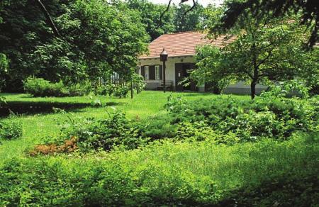 barangolások Az 1850-es években a budai Sváb-hegy egyre népszerűbb kiránduló- és nyaralóhely lett a pesti polgárok körében.