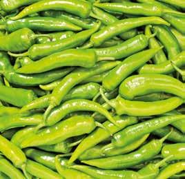 -33% 99 66 25 g, 1 kg = 2 640 TASTINO MÁRTOTT RIZSSZELET Joghurtos bevonattal / narancs ízű kakaós étbevonattal -16% 79 66 1,5 l, 1 l = 44-33% 99 66 45