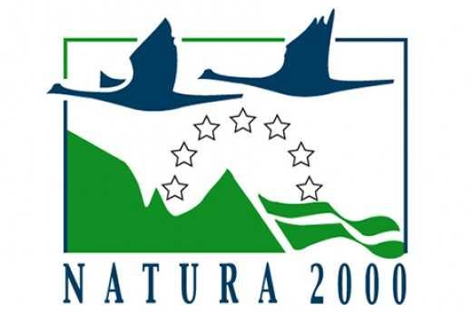 Natura20