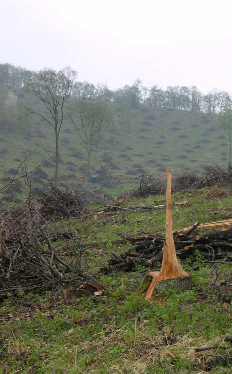 Egységes javaslatok - Sok esetben területileg eltérő megközelítés a korlátozások esetében (nemzeti park igazgatóságok és természetvédelmi hatóságok) - Magyar Ragadozómadár-védelmi Tanács egységes