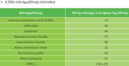 Térmeg János