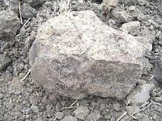 alkalmatlan műveléssel, a