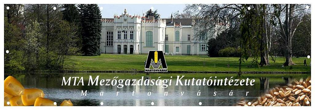 Kukoricahibridek