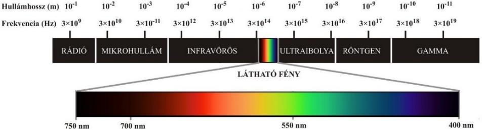 A látható fény tartománya a 400-700 nm közötti sávra terjed ki. Az infravörös hullámok kisebb energiájúak, mint a látható fény és három tartományba sorolhatók (NÉMETH ET AL.