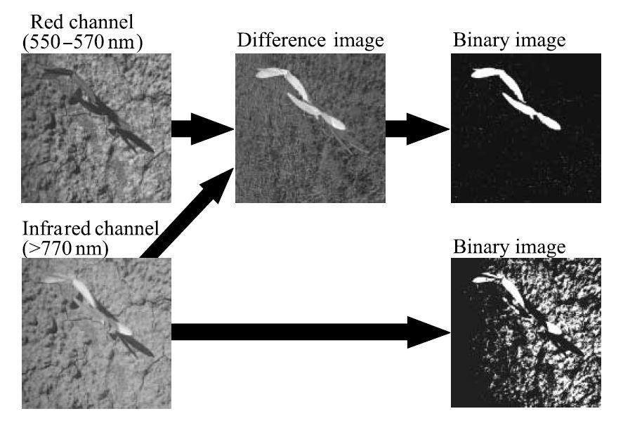 Számítógépes technológiát alkalmazva bináris kompozit képet készítettek a infravörös közeli tartományban (NIR) és a látható tartományban (VIS) készült képekből (18. ábra).