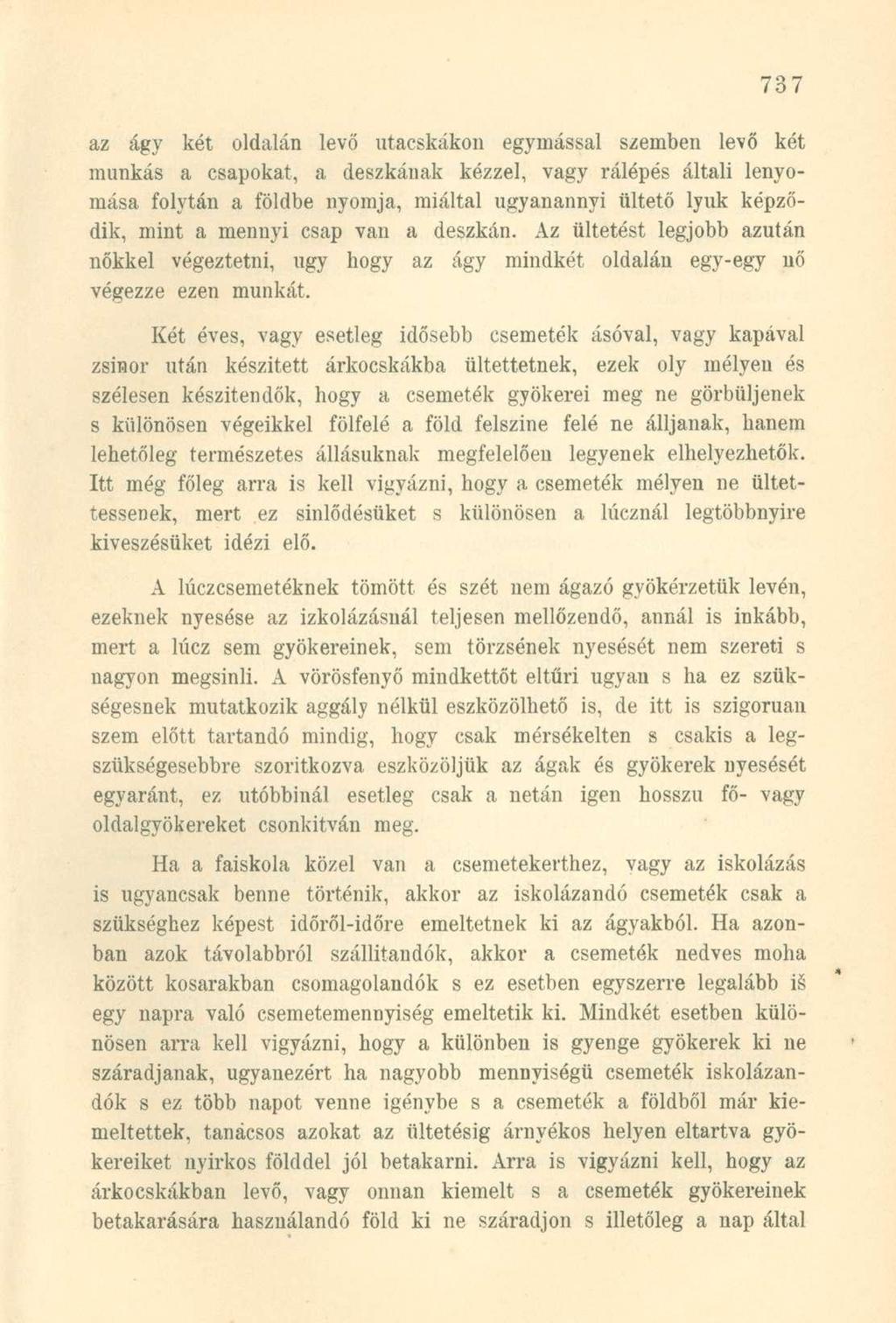 az ágy két oldalán levő utacskákon egymással szemben levő két munkás a csapokat, a deszkának kézzel, vagy rálépés általi lenyomása folytán a földbe nyomja, miáltal ugyanannyi ültető lyuk képződik,