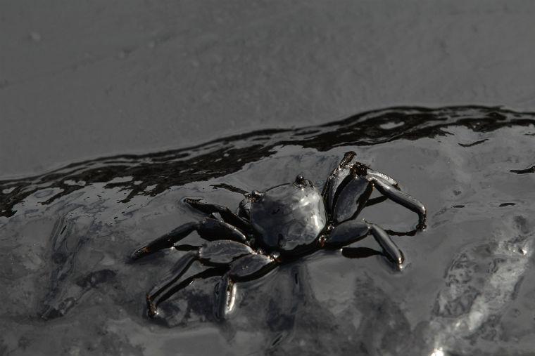 balesetmentes tengeri olajszállítás a
