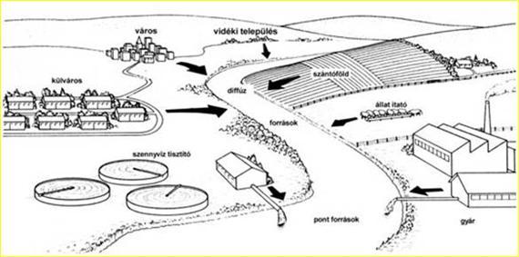 A szennyvizek kb.