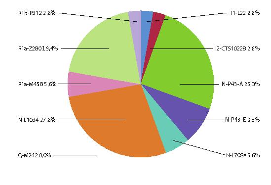 Nem egyszerűen az így kapott genetikai térképre voltunk kíváncsiak, hanem azt szerettük volna megállapítani, hogy van-e olyan szegmens, amelyben sajátos kapcsolat feltételezhető a mai magyarok és